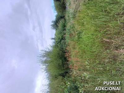 Valstybės žemės sklypas Mažeikiuose, Česlovo Kontrimo g. 19 - 7451 EUR