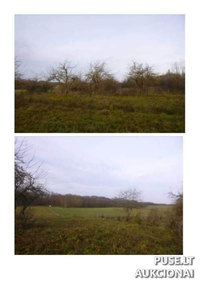 Žemės sklypas Prūčiuose (Ignalinos r.) – 3 760 EUR – žemės ūkio paskirtis, 1 ha