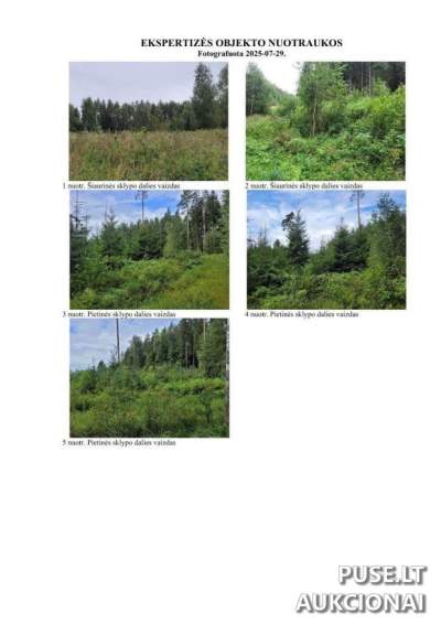 Žemės sklypas Višteliškyje (Panevėžio r.) – miškų ūkio paskirtis, pradinė kaina 5 040 EUR