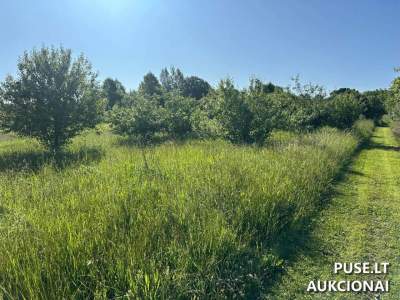 Rietave, Pievų g. 19C – valstybinis žemės sklypas aukcione, pradinė kaina 5 550 EUR