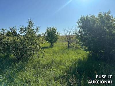 Žemės sklypas Rietave, Pievų g. 19D – pradinė kaina 5 550 EUR