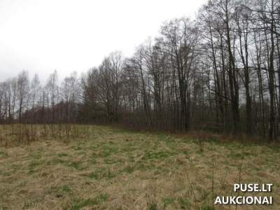 Parduodama 1/2 žemės sklypo Plungės r. sav., Laumalenkų kaime – pradinė kaina 13 440 EUR