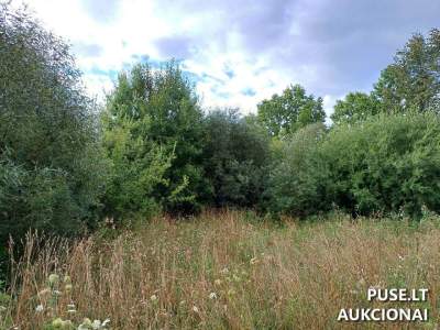 Žemės sklypas Sedoje, Šiaurės g. 14 (Mažeikių r.) – pradinė kaina 3067 EUR