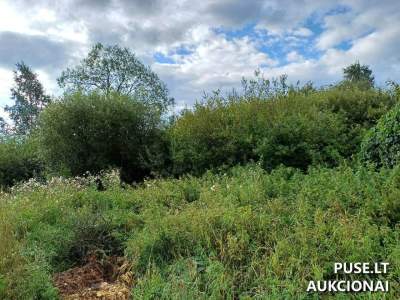 Žemės sklypas Sedose (Šiaurės g. 12, Mažeikių r.) – pradinė kaina 3 243 EUR