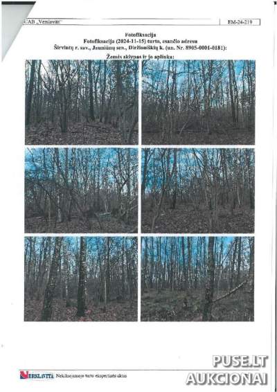 1/2 miško žemės sklypas Diržioniškių kaime, Širvintų r. – pradinė kaina 5 520 EUR