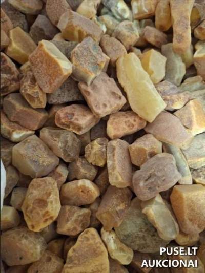 Panevėžyje parduodamas 46 kg gintaro rinkinys iš muitinės – kaina 12 176 EUR