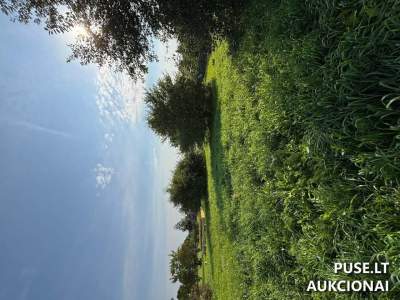 Valstybės žemės sklypas Vievyje, Naujoji g. 39A — pradinė kaina 17 413 EUR