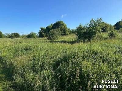 Žemės sklypas Rietave, Pievų g. 19A – pradinė kaina 6 200 EUR