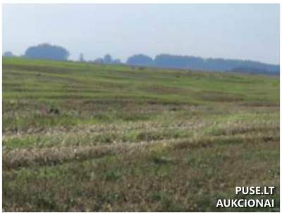 Žemės sklypas Vilkaviškio r. sav., Geisteriškių k. – pradinė kaina 7 680 EUR