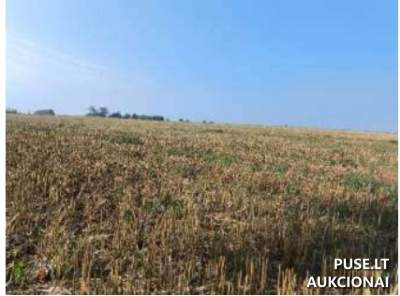 Žemės sklypas Vilkaviškio r. sav., Geisteriškių k., pradinė kaina 3120 EUR