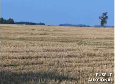 Žemės sklypas Geisteriškių kaime, Vilkaviškio r. (pradinė kaina 8 000 EUR) - antstolių varžytynės