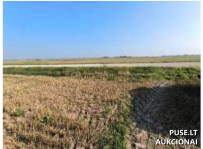 Žemės sklypas Vilkaviškyje (Geisteriškių k.) – pradinė kaina 2320 EUR