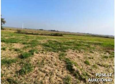 Žemės sklypas Geisteriškių kaime, Vilkaviškio r. - pradinė kaina 3 120 EUR