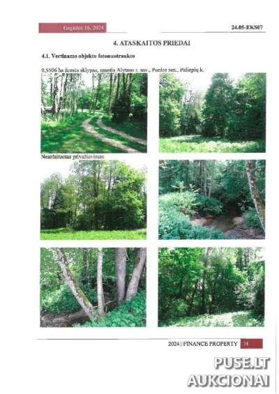 Miškų paskirties sklypo 1/2 dalis parduodama Alytaus rajone, Paliepių kaime – pradinė kaina 420 EUR