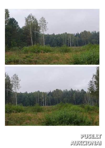 Žemės sklypas Dvarčiškių kaime, Švenčionių rajone - 1.95 ha, pradinė kaina 4 560 EUR