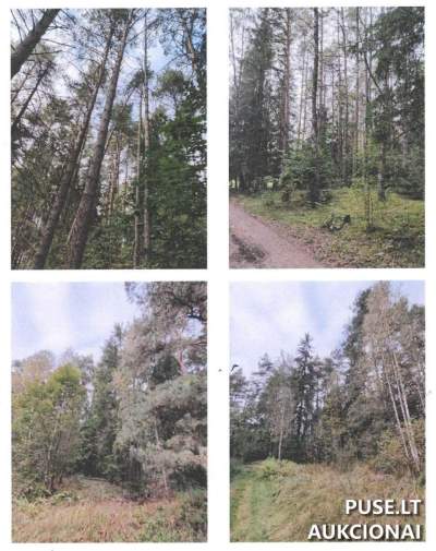 Žemės sklypas Tartoke (Šalčininkų r.) – 1/4 dalis, pradinė kaina 6000 EUR