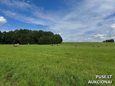 Žemės sklypas Vilniaus rajone, Markiškių k. – pradinė kaina 15 050 EUR