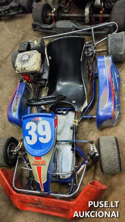 Kartingas Vilniuje (Žirmūnų g. 1B) - aukcionas, pradinė kaina 450 EUR