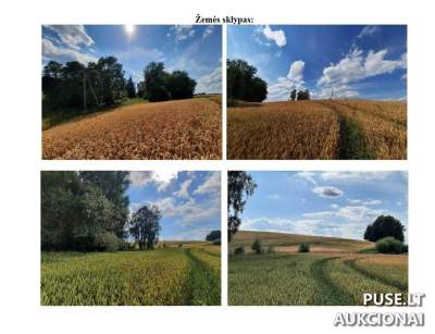 Žemės sklypas Prienų rajone, Dukurnoniuose, Ežero g. 17 - pradinė kaina 2400 €