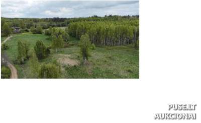 Žemės sklypas Zarasuose (Paskardiškio k.) – pradinė kaina 6 500 EUR