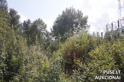 Alytuje parduodamas žemės sklypas Santaikos g. 30H - 171 929 EUR