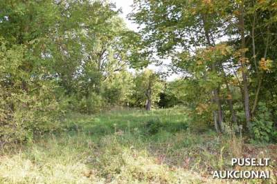 Nuomojamas žemės sklypas Troškūnuose, Traupio g. 20 - 126 EUR | Aukcionas 2025-11-25