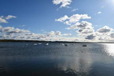 Vandenlenčių parko įranga Elektrėnuose - pradinė kaina 53 058 EUR, 212 figūrų komplektas