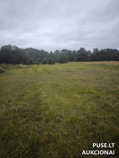 Žemės sklypas Kruonyje, Pušyno g. 3 (Kaišiadorių r.) – pradinė kaina 3 632 EUR