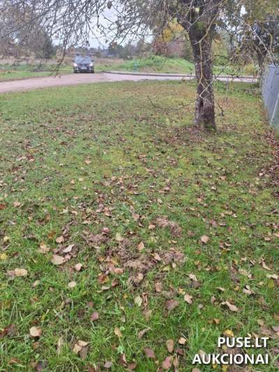 Žemės sklypas Tauragėje – pradinė kaina 3 720 EUR, un. Nr. 4400-6572-2554