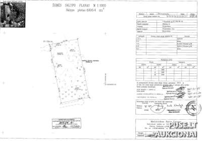 Žemės sklypas Rėkliuose, Vlado Kuzmos g. 37 (Panevėžio r.) – pradinė kaina 9 032 EUR