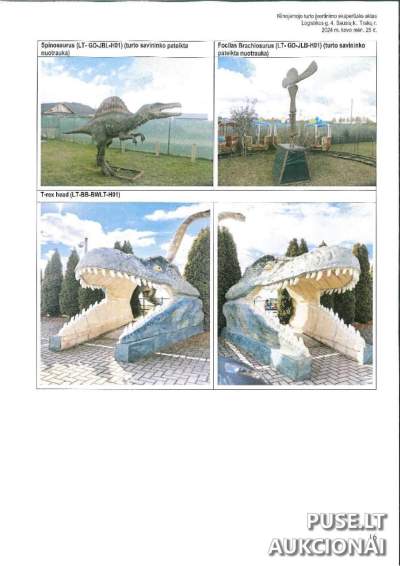 Dino parko įranga Trakuose (Logistikos g. 4) – pradinė kaina 12 800 EUR