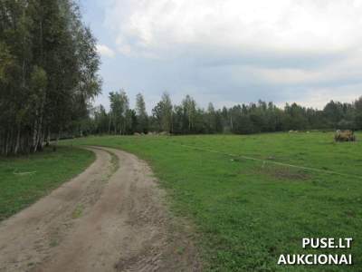 Žemės sklypas Rietave, Norgalvių k. 4 - 1.14 ha, pradinė kaina 16 320 EUR