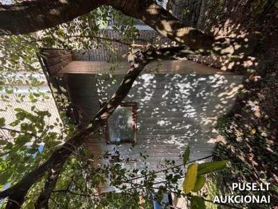 Katilinė Žiežmaruose, Melioratorių g. 11A - pradinė kaina 480 EUR