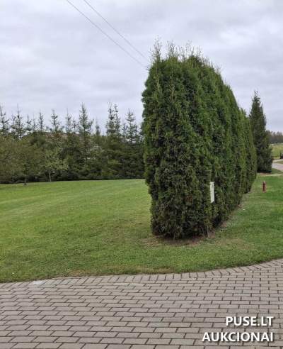 Žemės sklypas Naujųjų Elmininkų k., Anykščių r. – pradinė kaina 2212 EUR