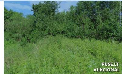 Žemės sklypas Panevėžyje, Koldingo g. 31 – pradinė kaina 3 344 EUR