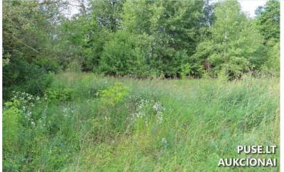 Žemės sklypas Panevėžyje, Koldingo g. 39 - pradinė kaina 4 644 EUR