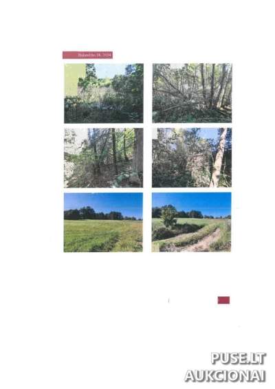 Žemės sklypas Trakuose (Kęstučių k.) – 6 840 EUR | 1/3 dalis, žemės ūkio paskirtis