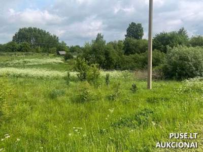 Ukmergės rajone, Deltuvoje, Kaštonų skg. 5 žemės sklype - pradinė kaina 5910 EUR