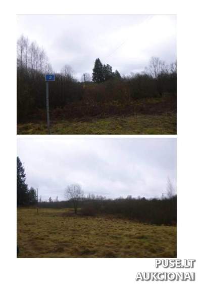 Žemės ūkio paskirties žemės sklypas Utenos rajone, Lukošiūnų kaime, 7.1 ha, pradinė kaina 5760 EUR