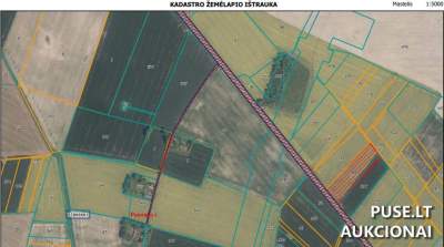 Didelis 5.99 ha žemės ūkio paskirties sklypas Pasvalio rajone, Vingrelių kaime, pradinė kaina 42080 EUR