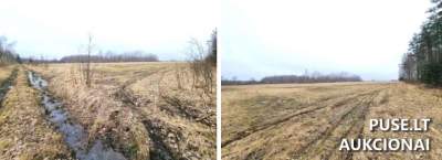 Žemės ūkio sklypas Klaipėdos rajone, Ruigių kaime, 12480 EUR pradinė kaina