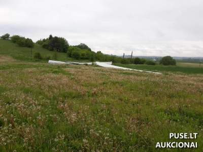Žemės sklypas Prienų rajone, Intuponių kaime, 0.49 ha, pradinė kaina 3320 EUR