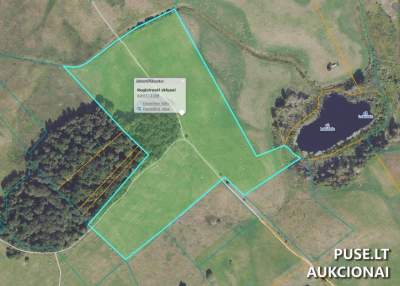 1/2 žemės sklypo dalies pardavimas Molėtų r. Surguškių kaime, pradinė kaina 10080 EUR