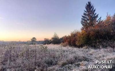 Parduodamas 0.3211 ha žemės sklypas gyvenamosios paskirties statybai Radviliškio rajone, Baisogaloje, 4720 EUR pradinė kaina