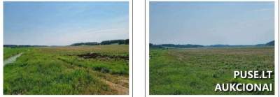 Žemės ūkio paskirties sklypo dalis Skuodo r. Palšių k. 2580 EUR pradinė kaina