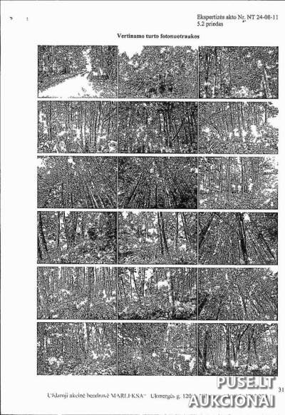 2.87 ha Žemės ūkio sklypas Kazlų Rūdos sav., Gulioniškės k. aukcione nuo 10880 EUR