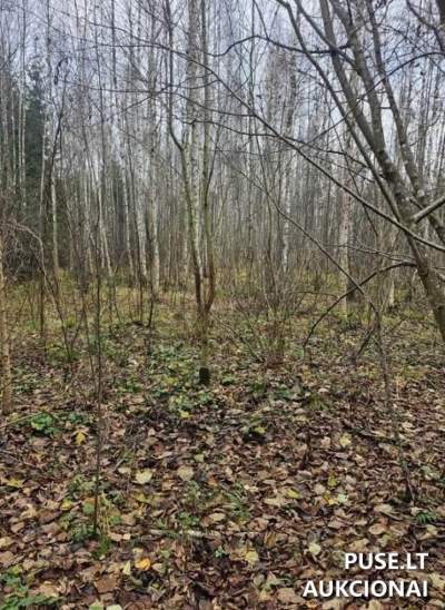 Žemės sklypas Vilniaus rajone, Griovių kaime, 0.3780 ha, pradinė kaina 7280 EUR