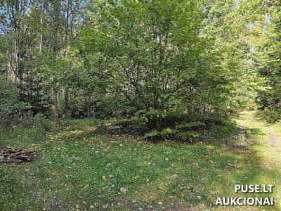 Parduodamas miško ūkio paskirties žemės sklypas Šalčininkų r. sav. 4.38 ha už 3840 EUR
