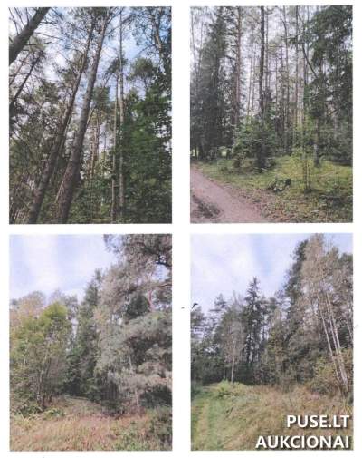 1 4 dalis miško ūkio paskirties žemės sklypo Šalčininkų r. 4500 EUR