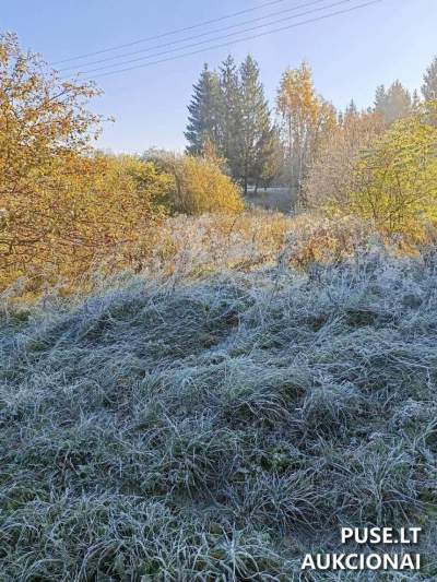 Valstybinis žemės sklypas Utenos rajone, Kirdeikių kaime, Tvenkinio g. 7B pradine kaina 3316 EUR
